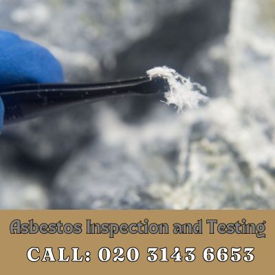 Comprehensive Asbestos Inspection and Testing Services in Morden Park